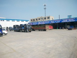 環境展示
